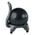 Gaiam Ball Chair